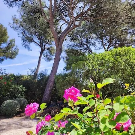 La Californienne