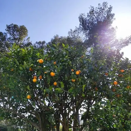 וילה La Californienne