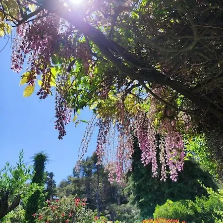 La Californienne *