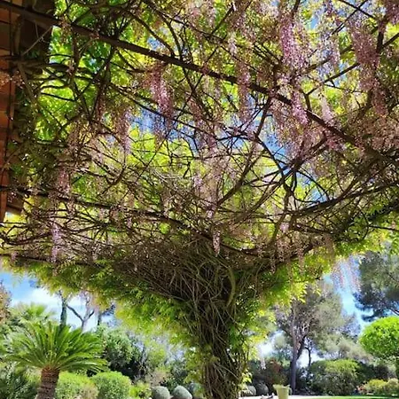 La Californienne קרקראן